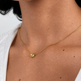 Collar Curvo Heart
