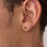 Solitario de Seguridad Spike