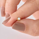 Topitos De Seguridad Opalo