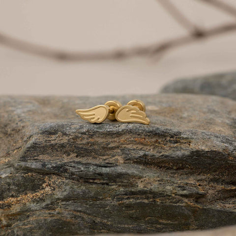 Topitos de Seguridad Alita Topitos de Seguridad Alita