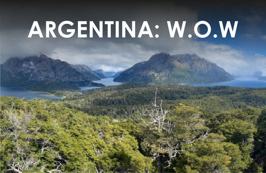 Argentina: WOW