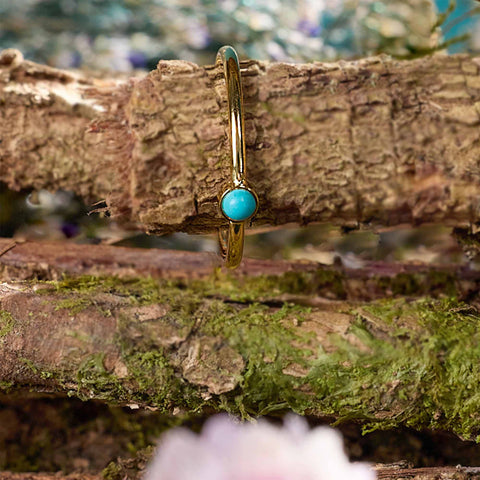 Anillo Gaia