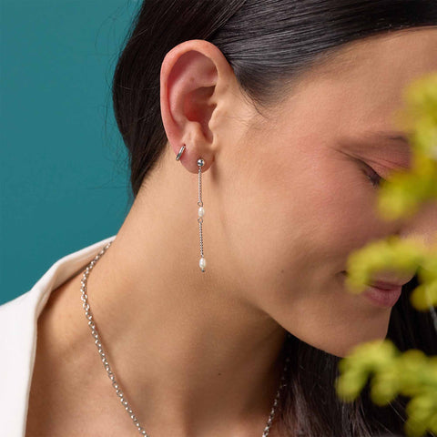 Aretes Mist
