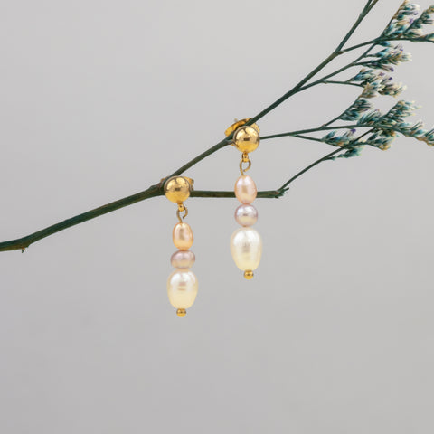 Aretes Aster