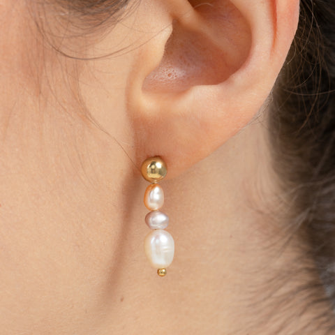 Aretes Aster