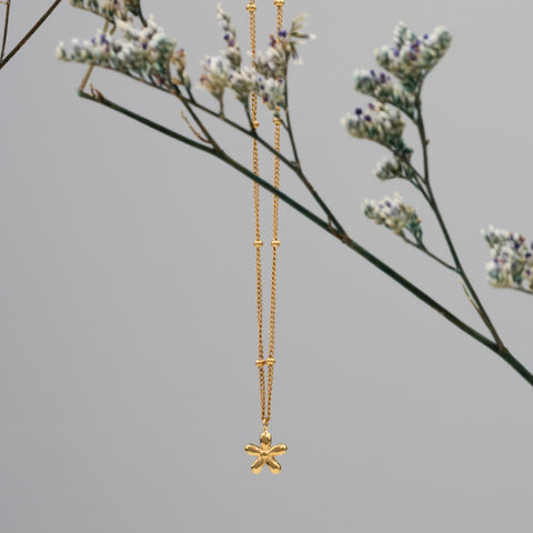 Collar Flora