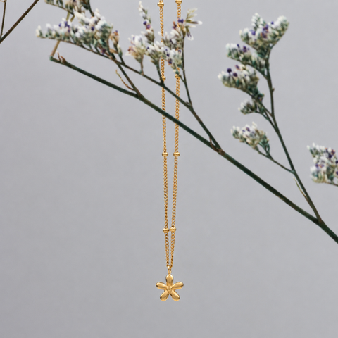 Collar Flora