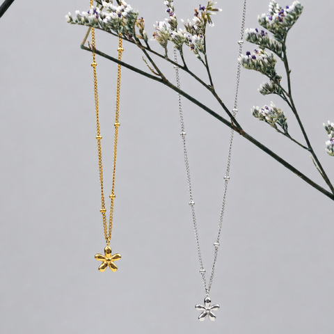 Collar Flora