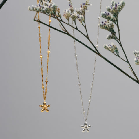 Collar Flora
