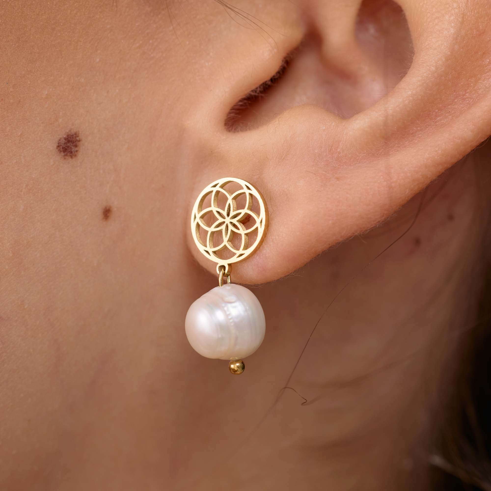 Aretes Equilibrio