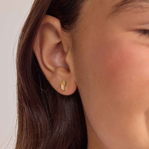 Topitos de Seguridad Alita